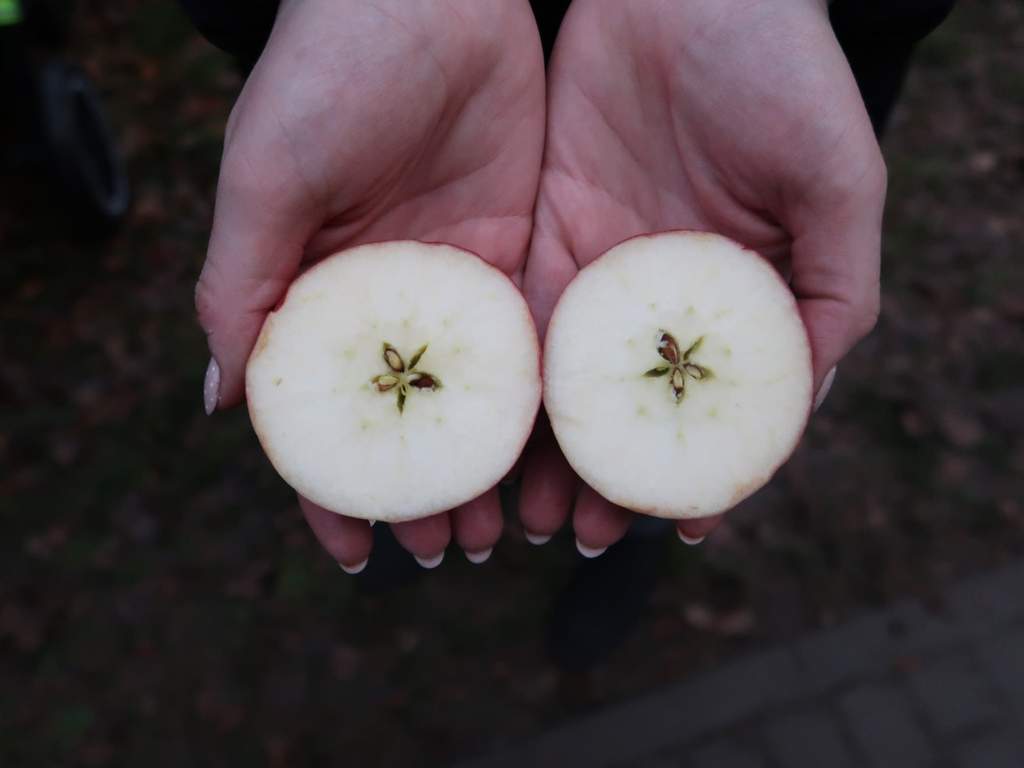 Vánoční tradice 9.12.2025