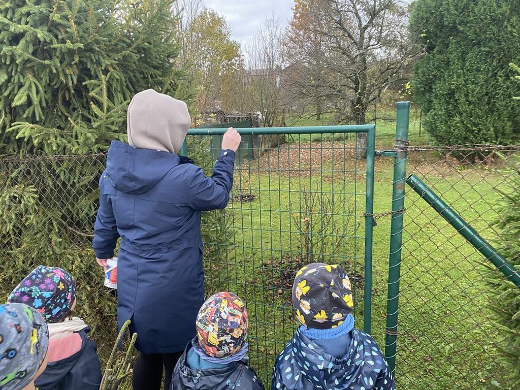 Šipkovaná pod Uhlířským vrchem