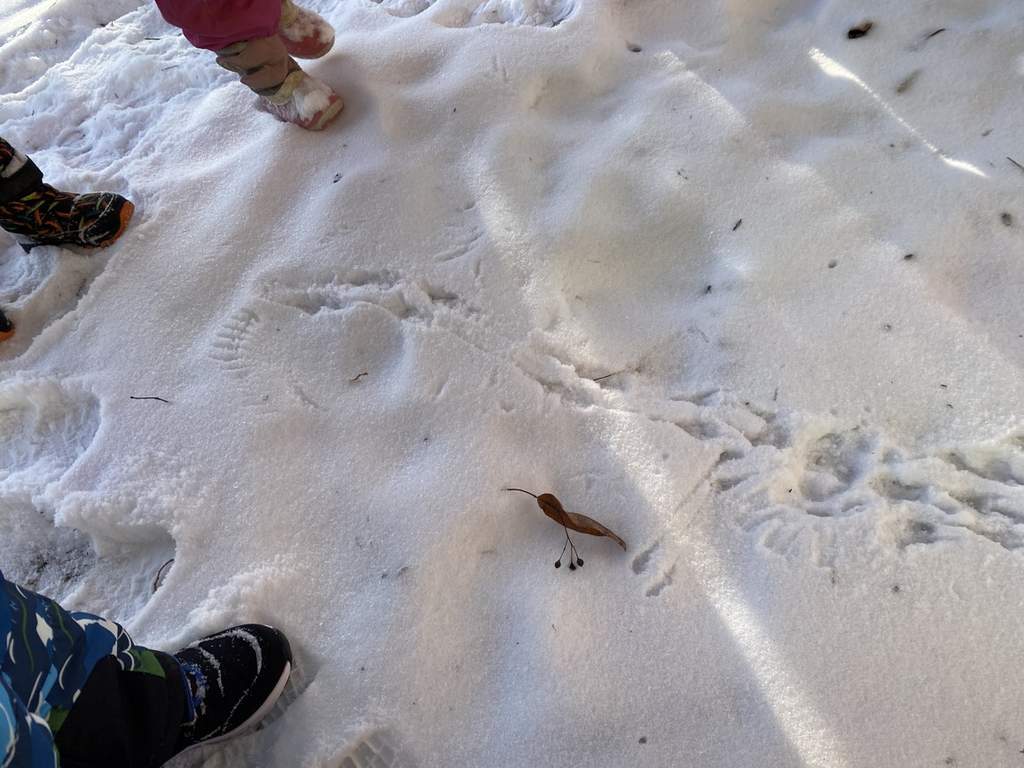 Indiánská stezka 4.