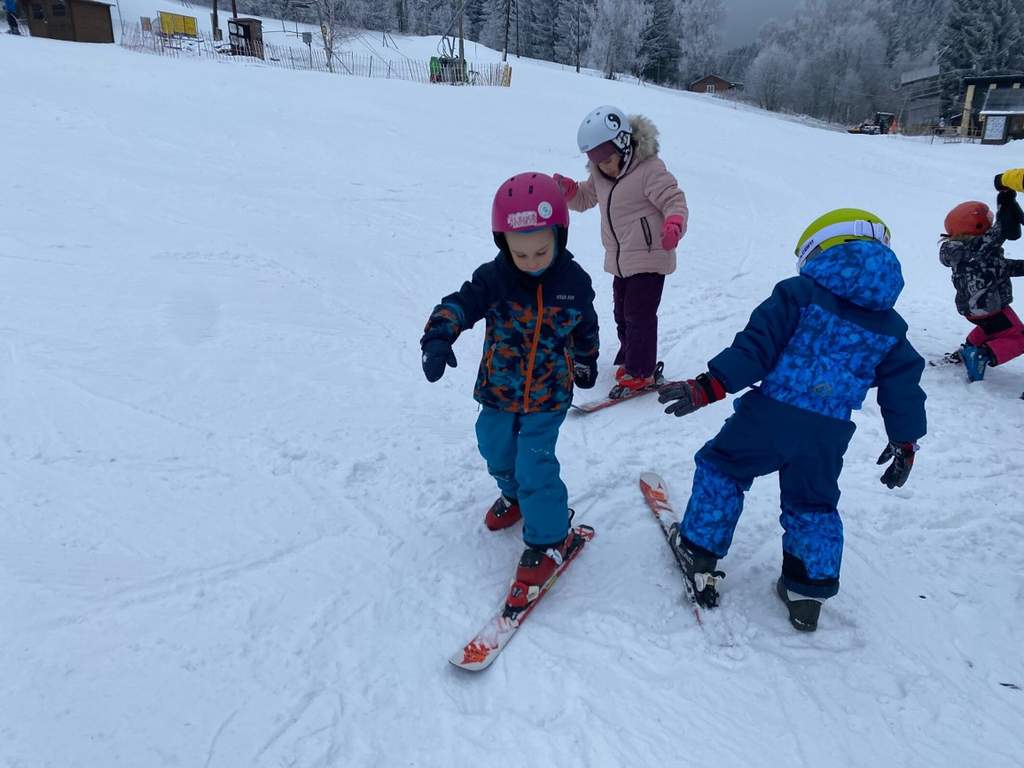 Vážky -únor